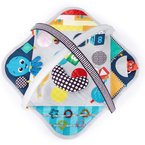 Baby Einstein Babygym|Grey Multi