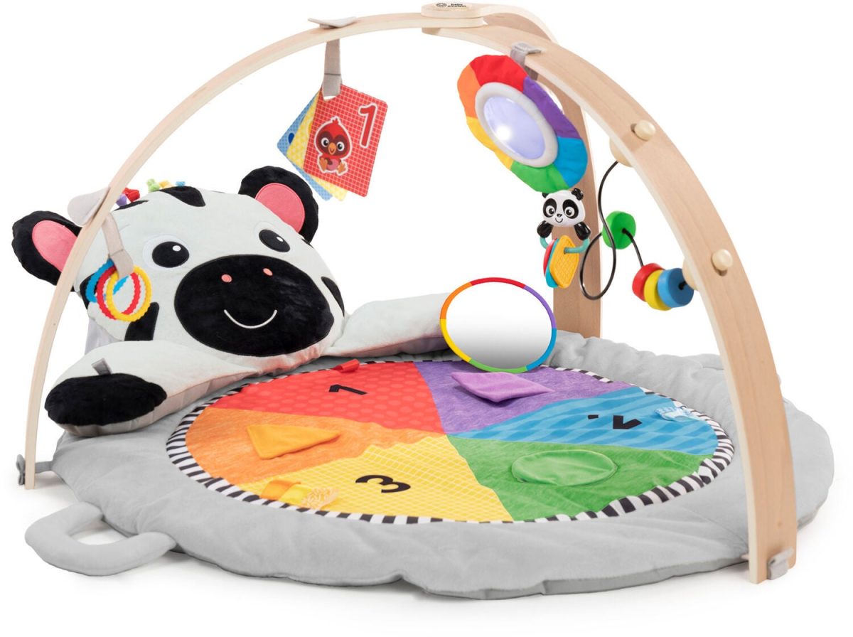 Baby Einstein Zen's Activity Milestones Babygym