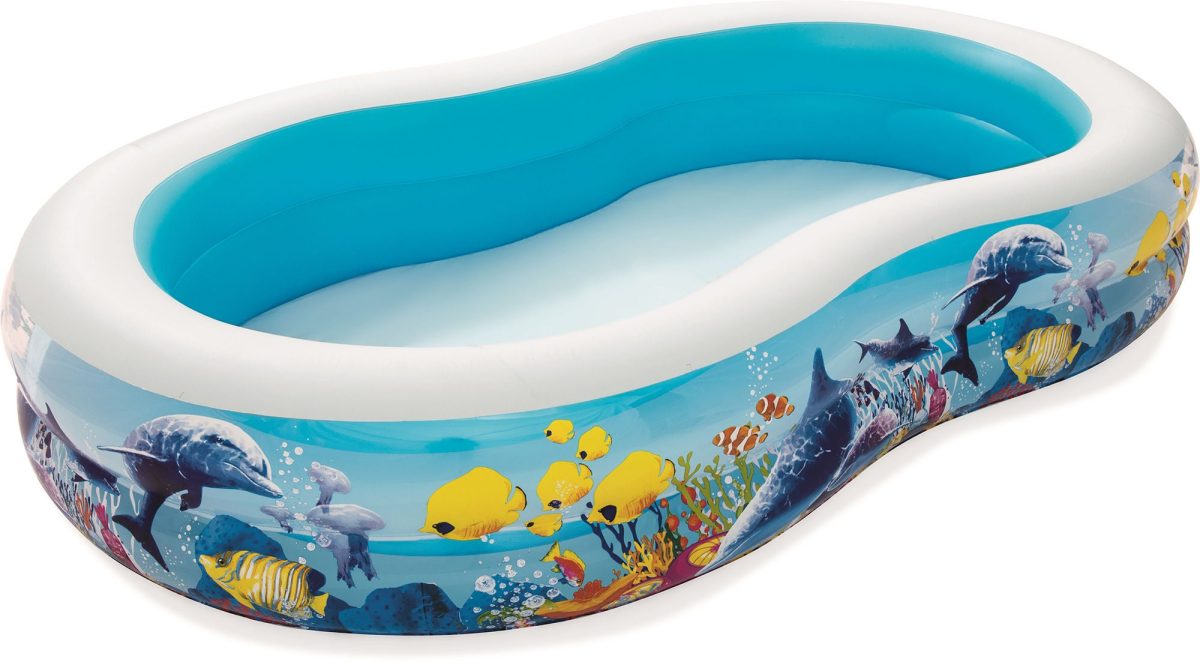 Bestway Barnpool 262x157 Clownfisk|