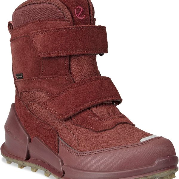 Ecco Biom K2 GTX Vinterkängor|Andorra