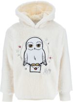 Harry Potter Hoodie|Off White