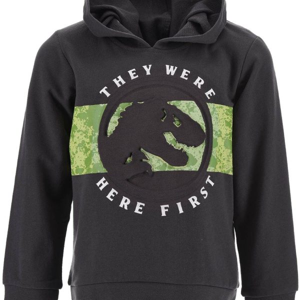 Jurassic World Capuche Huvtröja|Dark Grey