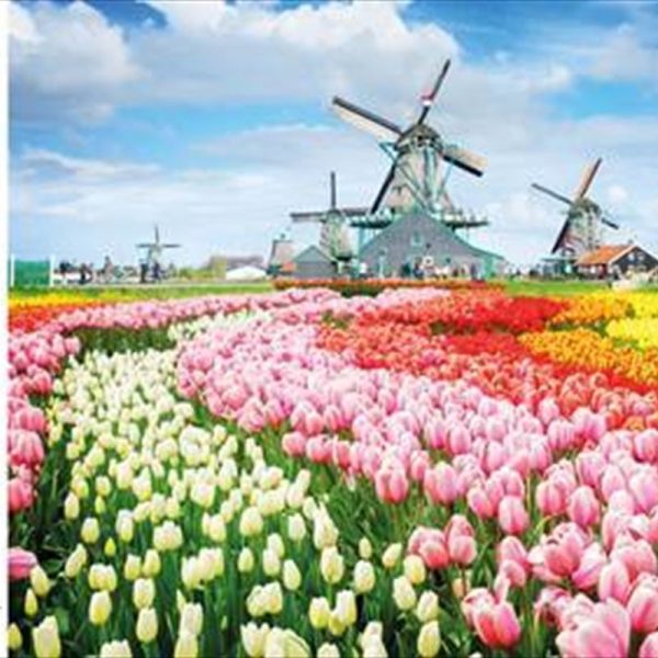 Mindbogglers Pussel Dutch Windmills Netherlands 1000 Bitar