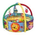 Playgro Ball Babygym|