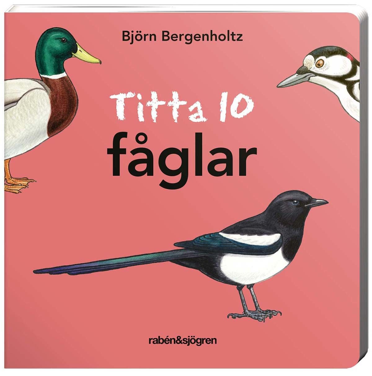 Rabén &  Sjögren Titta 10 Fåglar