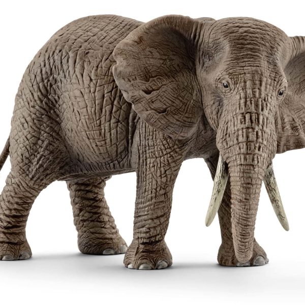 Schleich 14761 Afrikansk Elefant Hona