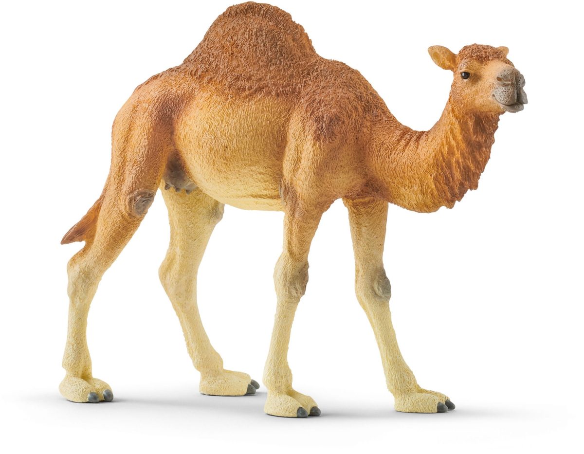 Schleich 14832 Dromedar