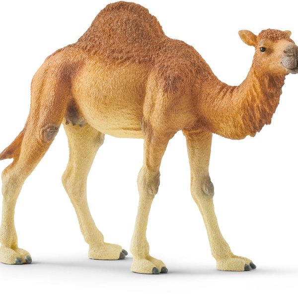 Schleich 14832 Dromedar