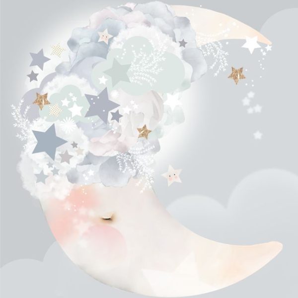 Schmooks Poster Moon Dreams|