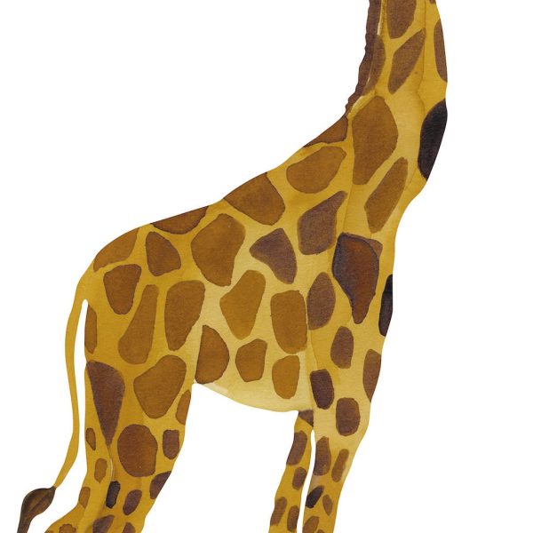 That's Mine Wallsticker Giraffe