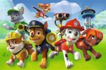 Trefl Pussel Paw Patrol 60 Bitar|