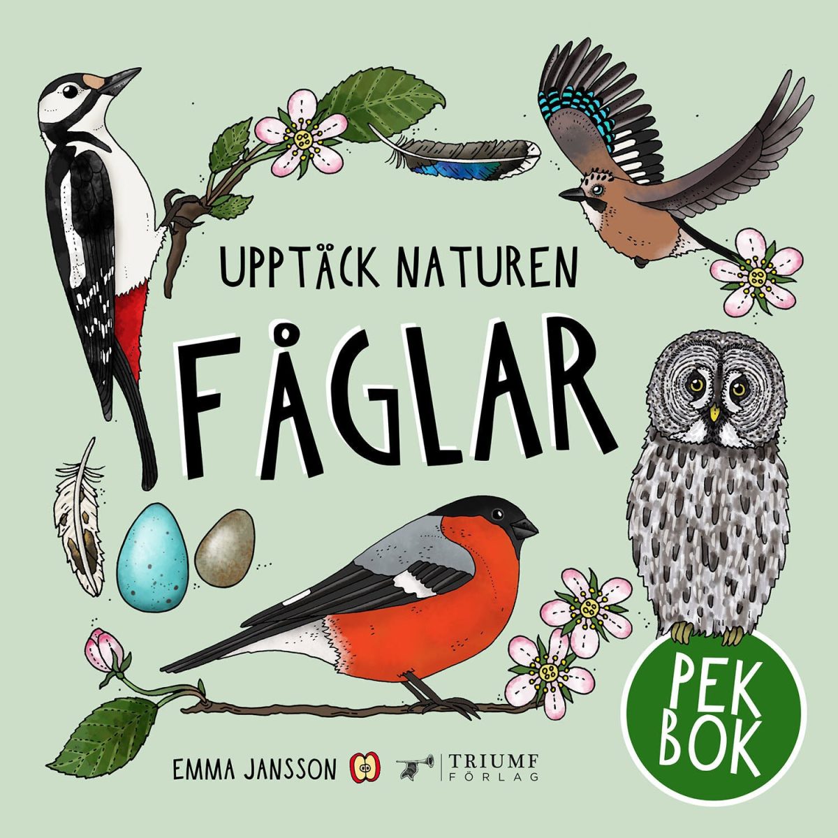 Upptäck naturen Fåglar